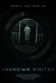 Незнакомый гость постер к фильму смотреть онлайн на HD Rezka