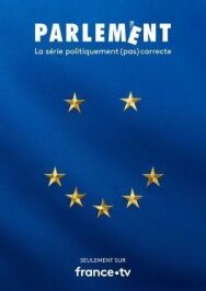 Парламент постер к фильму смотреть онлайн на HD Rezka