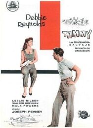 Тэмми и холостяк постер к фильму смотреть онлайн на HD Rezka