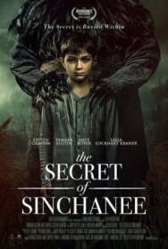 Тайна Синчани постер к фильму смотреть онлайн на HD Rezka