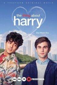 Кое-что о Гарри постер к фильму смотреть онлайн на HD Rezka
