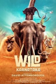 Дикая Карнатака постер к фильму смотреть онлайн на HD Rezka