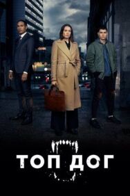 Топ дог постер к фильму смотреть онлайн на HD Rezka
