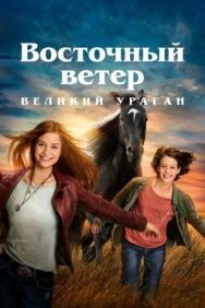 Восточный ветер. Великий ураган постер к фильму смотреть онлайн на HD Rezka