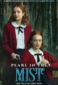 Семейство Лэндри: Свет в ночи постер к фильму смотреть онлайн на HD Rezka