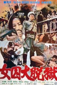 Жестокая пытка в лагере для женщин-военнопленных постер к фильму смотреть онлайн на HD Rezka