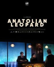 Анатолийский леопард постер к фильму смотреть онлайн на HD Rezka