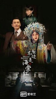 Зимняя бегония постер к фильму смотреть онлайн на HD Rezka