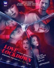 Любовный Локдаун постер к фильму смотреть онлайн на HD Rezka
