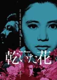 Бледный цветок постер к фильму смотреть онлайн на HD Rezka