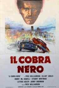 Черная кобра постер к фильму смотреть онлайн на HD Rezka
