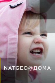 NatGeo@Дома постер к фильму смотреть онлайн на HD Rezka