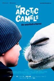 Мой друг северный верблюд постер к фильму смотреть онлайн на HD Rezka