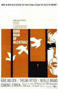 Любитель птиц из Алькатраса постер к фильму смотреть онлайн на HD Rezka