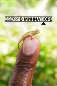 Звери в миниатюре постер к фильму смотреть онлайн на HD Rezka