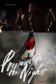 Драгоценная ночь постер к фильму смотреть онлайн на HD Rezka