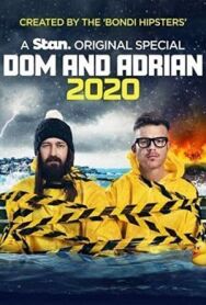 Дом и Эдриан: 2020 постер к фильму смотреть онлайн на HD Rezka