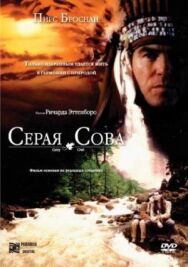 Серая сова постер к фильму смотреть онлайн на HD Rezka