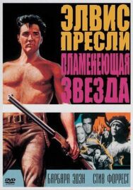 Пламенеющая звезда постер к фильму смотреть онлайн на HD Rezka