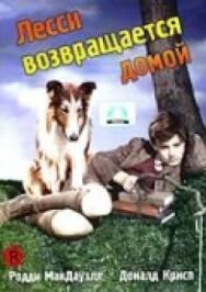Лесси возвращается домой постер к фильму смотреть онлайн на HD Rezka