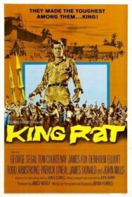 Король крыс постер к фильму смотреть онлайн на HD Rezka
