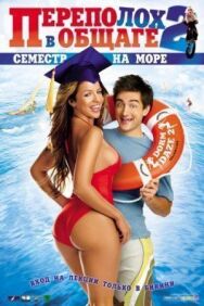 Переполох в общаге 2: Семестр на море постер к фильму смотреть онлайн на HD Rezka