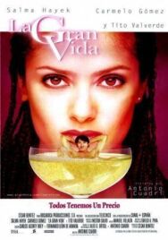 Прожигая жизнь постер к фильму смотреть онлайн на HD Rezka