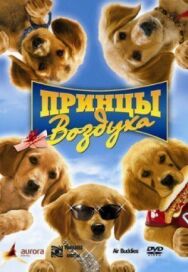 Принцы воздуха постер к фильму смотреть онлайн на HD Rezka
