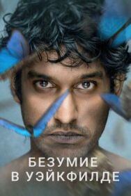 Безумие в Уэйкфилде постер к фильму смотреть онлайн на HD Rezka