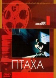Птаха постер к фильму смотреть онлайн на HD Rezka