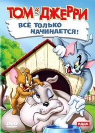 Кот играет в боулинг постер к фильму смотреть онлайн на HD Rezka