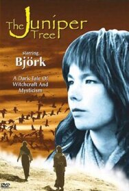 Можжевеловое дерево постер к фильму смотреть онлайн на HD Rezka