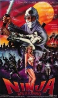 Мексиканский ниндзя постер к фильму смотреть онлайн на HD Rezka