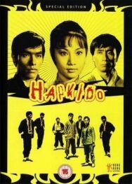 Леди кунг-фу постер к фильму смотреть онлайн на HD Rezka