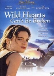 Храбрых сердцем не сломить постер к фильму смотреть онлайн на HD Rezka