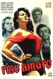 Горький рис постер к фильму смотреть онлайн на HD Rezka