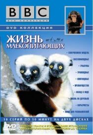 BBC: Жизнь млекопитающих постер к фильму смотреть онлайн на HD Rezka
