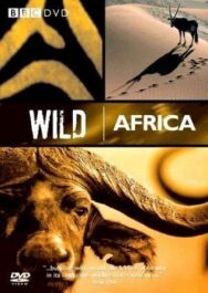 BBC: Дикая Африка постер к фильму смотреть онлайн на HD Rezka