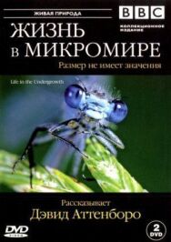 BBC: Жизнь в микромире постер к фильму смотреть онлайн на HD Rezka