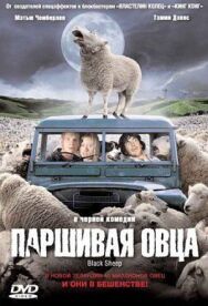 Паршивая овца постер к фильму смотреть онлайн на HD Rezka