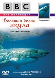 BBC: Большая белая акула постер к фильму смотреть онлайн на HD Rezka