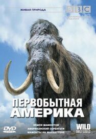 BBC: Первобытная Америка постер к фильму смотреть онлайн на HD Rezka