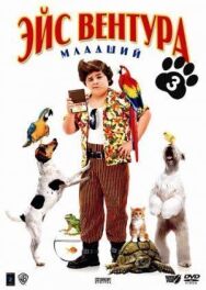 Эйс Вентура младший постер к фильму смотреть онлайн на HD Rezka