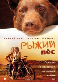 Рыжий пес постер к фильму смотреть онлайн на HD Rezka