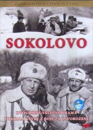 Соколово постер к фильму смотреть онлайн на HD Rezka