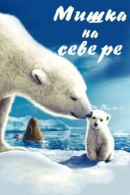 Мишка на Севере постер к фильму смотреть онлайн на HD Rezka