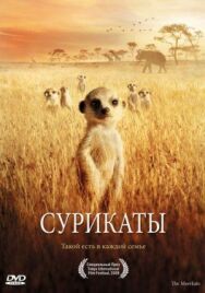 Сурикаты постер к фильму смотреть онлайн на HD Rezka