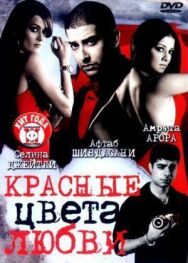 Красные цвета любви постер к фильму смотреть онлайн на HD Rezka