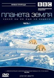 Планета Земля 2 постер к фильму смотреть онлайн на HD Rezka