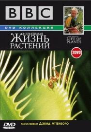 BBC: Невидимая жизнь растений постер к фильму смотреть онлайн на HD Rezka